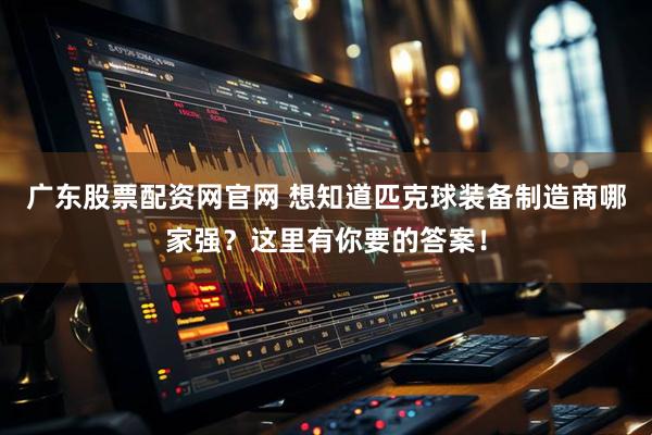 广东股票配资网官网 想知道匹克球装备制造商哪家强？这里有你要的答案！